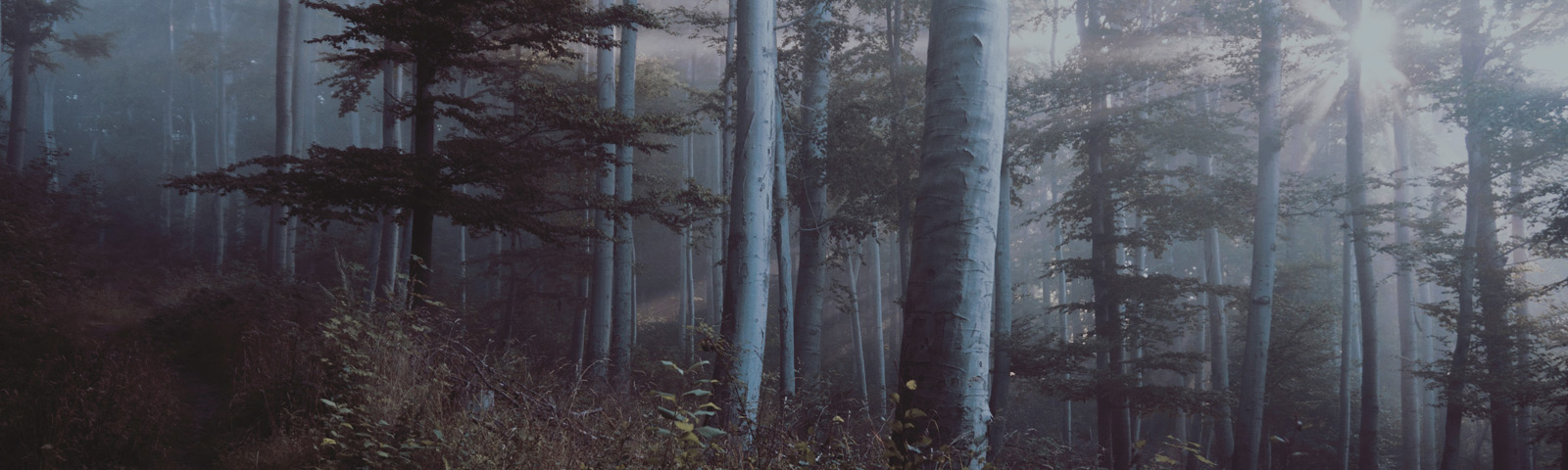 JAI-D.COM | สังคมแบ่งปัน