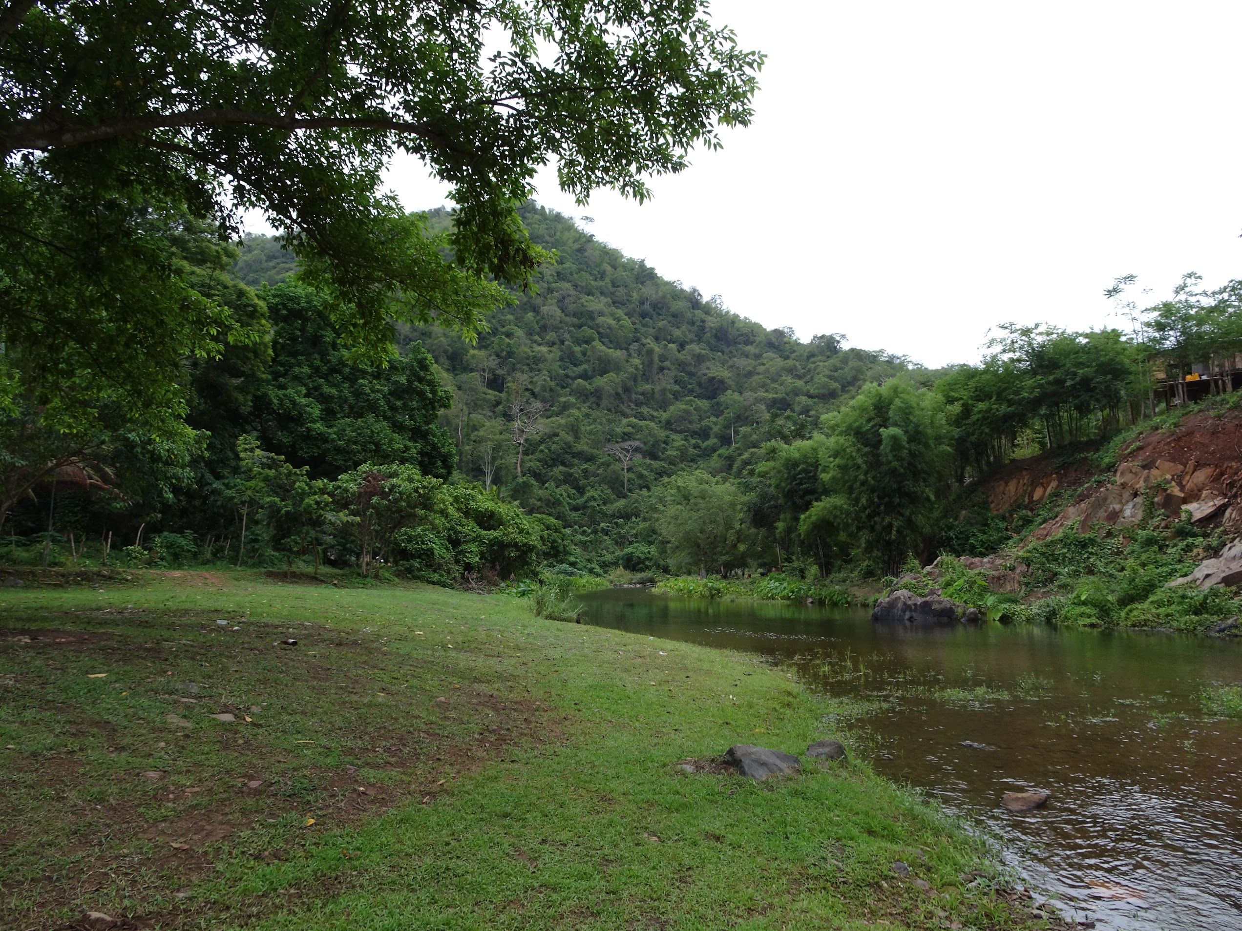 ลานหญ้าริมลำธารและขุนเขาเขียวชอุ่ม บ้านป่าหมาก